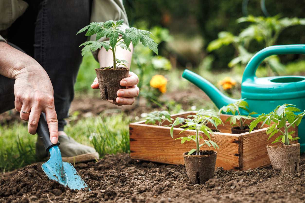 Transitioning Your Garden from Winter to Spring with EM – Naturefarm trading as EMNZ