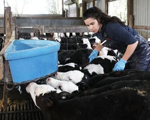 How EM™ Can Improve Your Calves