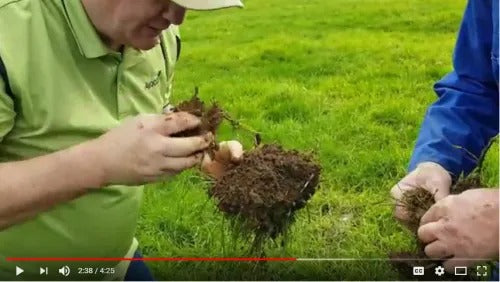 Farmer and Soil Consultant Conduct a Soil Assessment and Worm Count
