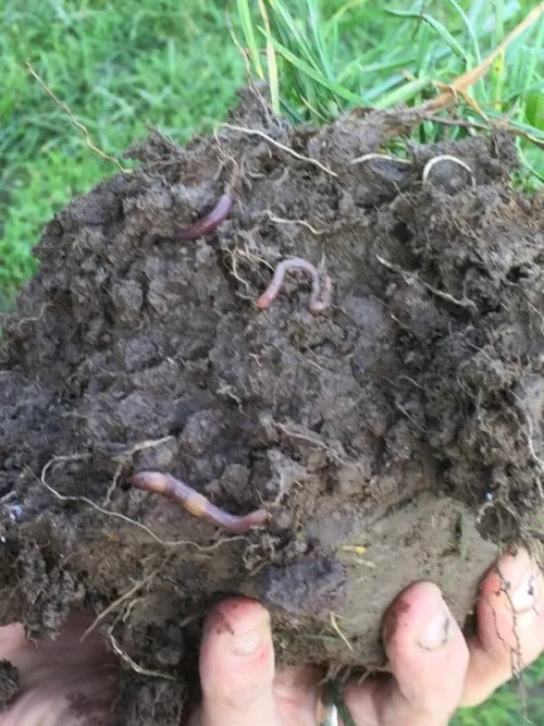 A Trial showing the effect of EM™ on the Soil Properties