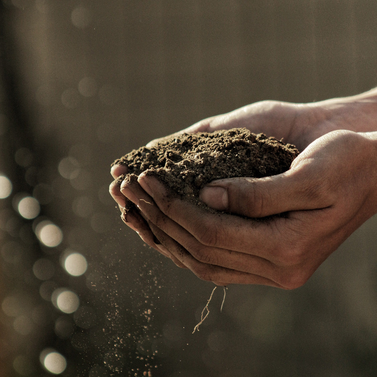 Adverse Effect of Fertilisers