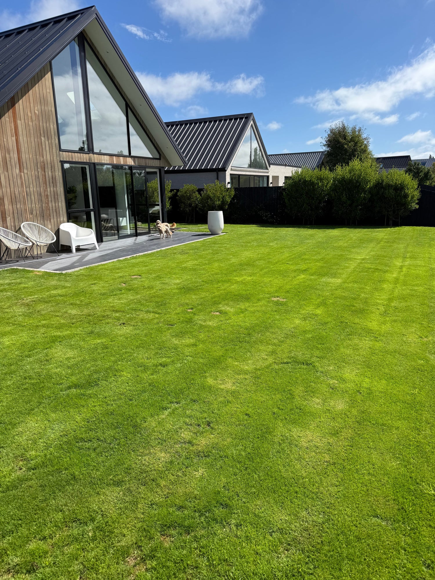 How Soil Biology Helped Restore This Lawn in Just 4 Weeks - Case Study