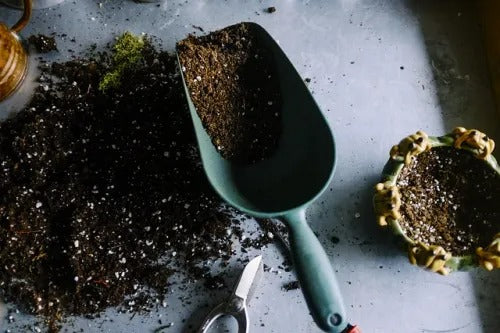How To Renew Your Old Garden Soil