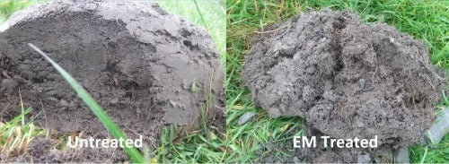 The Effect of the Soils Bulk Density