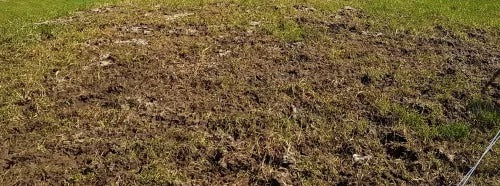 Compacted Soils and the Effect on Soil Biology