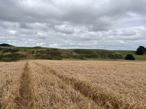 EM™ Product Trial significantly boosts Cereal Yield and Returns