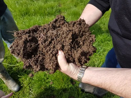 Improved Soil and Pastures in Northland | Comparison Pictures