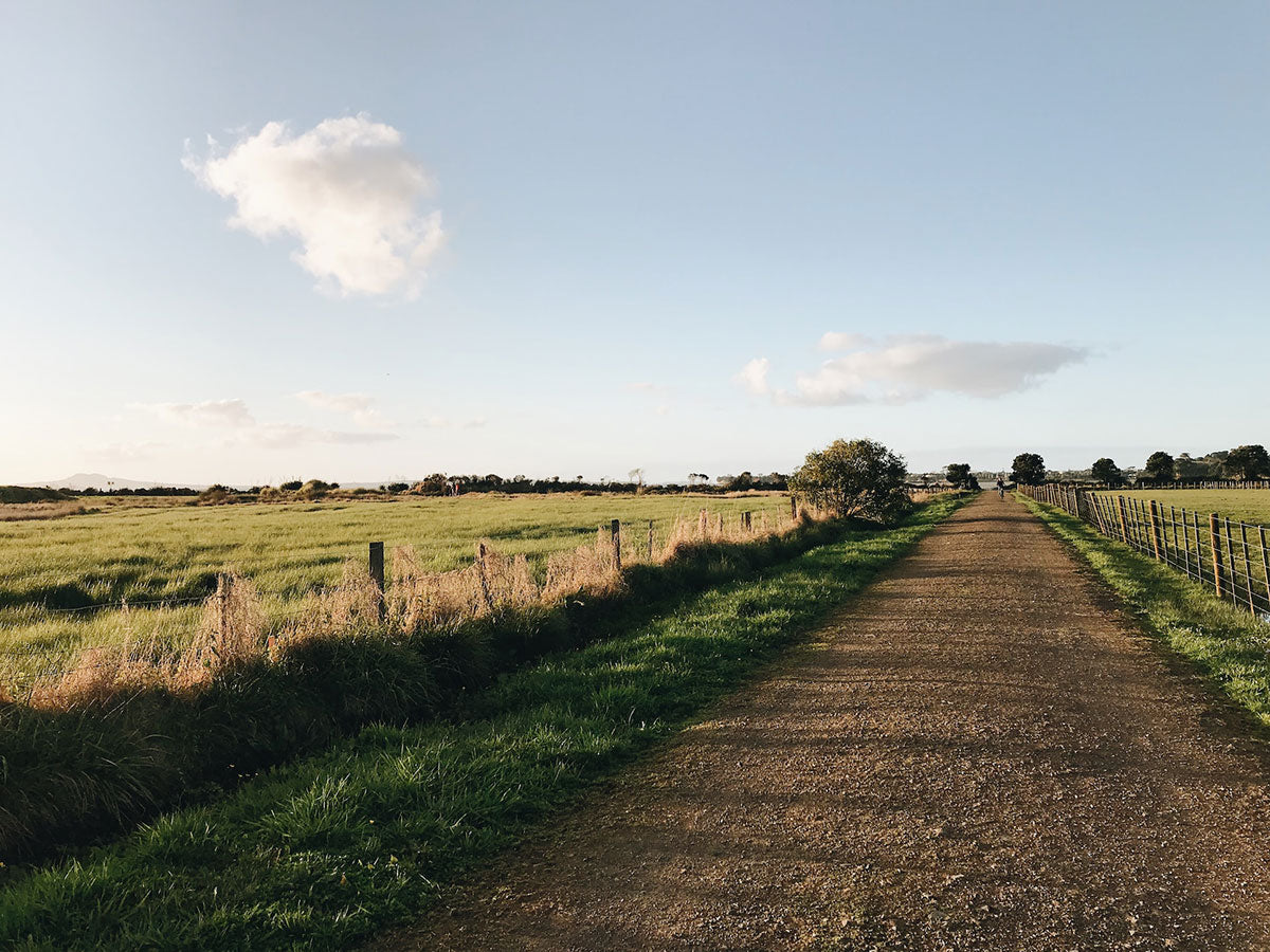 Enhancing Fertiliser Efficacy | EMNZ Organic Fertiliser New Zealand