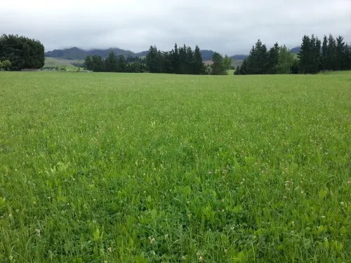 Using Biological Inoculants to Enhance No-Till Agriculture practices