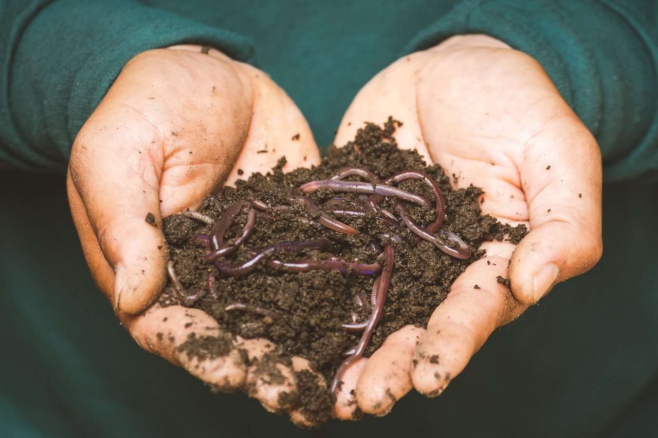 Organic Solutions for Common Agricultural Problems