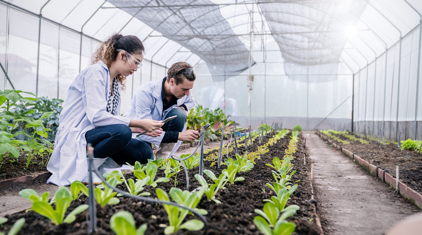 Building the Evidence: How EMNZ Research Is Shaping Biological Farming in NZ